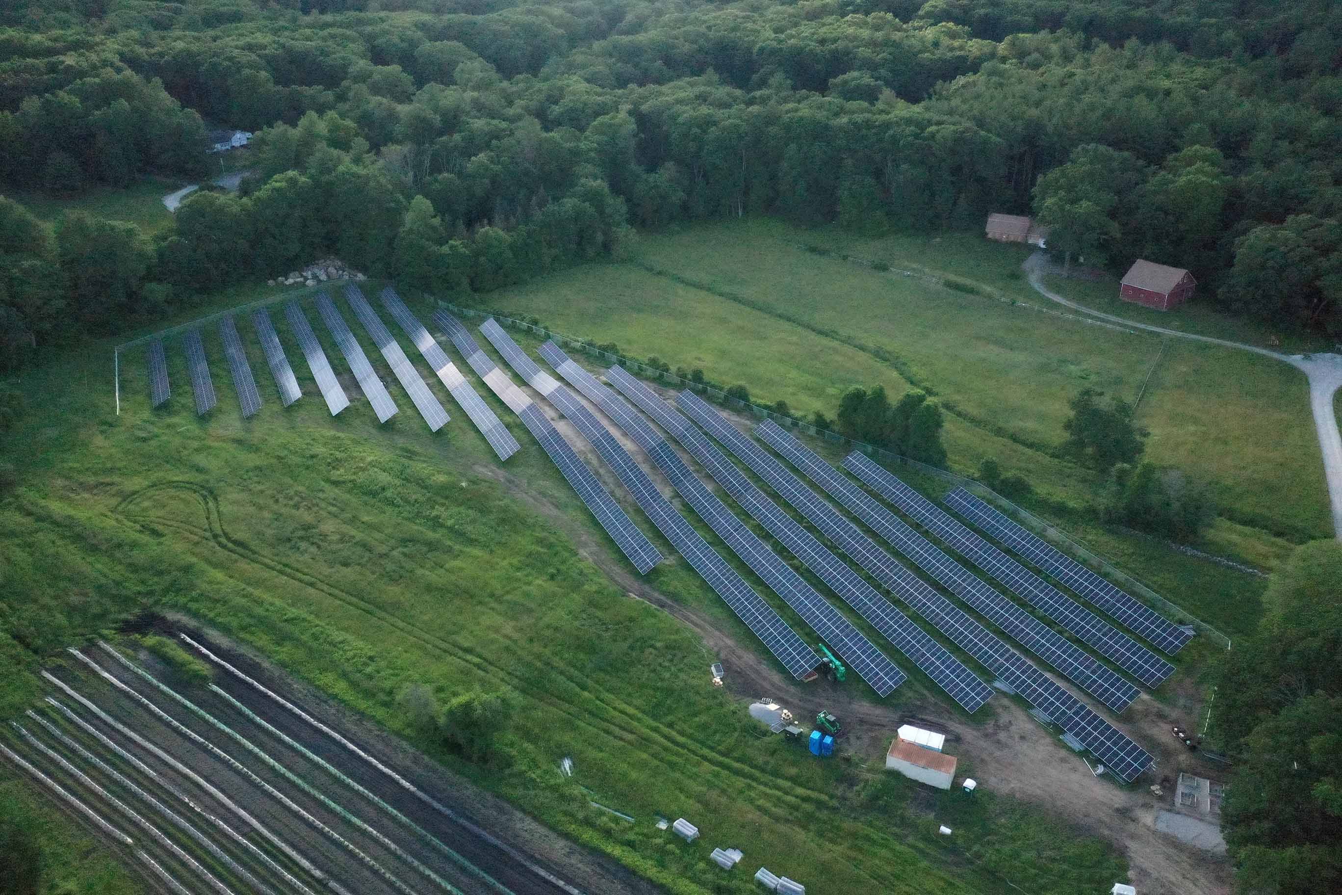 strawberry distributed generation